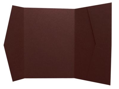 Rockport Pocket - Coffee Bean